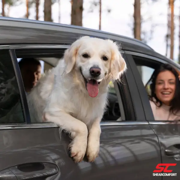 how-to-keep-your-dog-seat-cover-clean.png how-to-keep-your-dog-seat-cover-clean.png