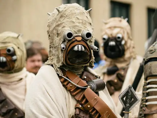 Free A group of people in detailed Star Wars cosplay costumes attending an outdoor event. Stock Photo